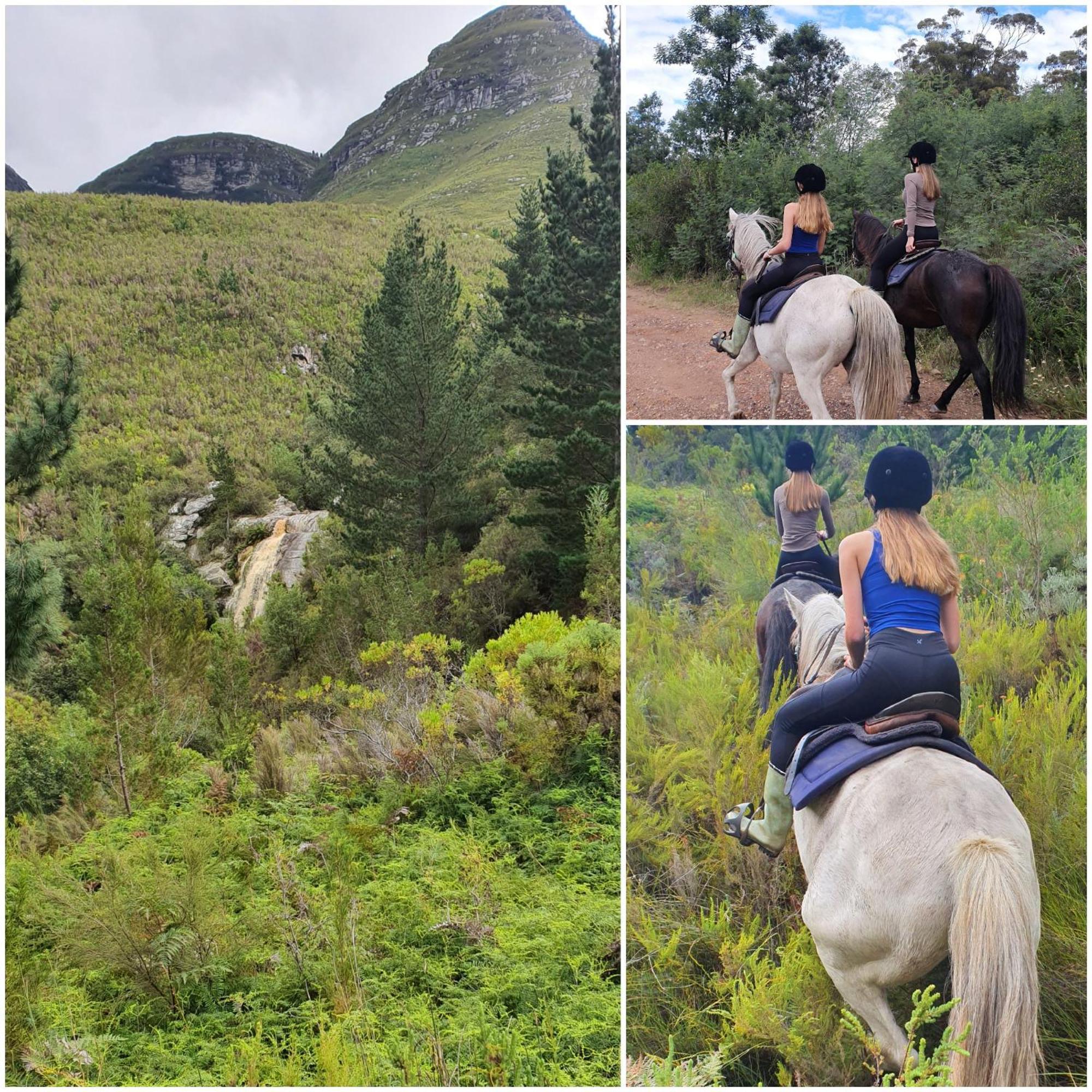 Oudebosch Guest Farm Alojamento de Turismo Rural Riversdale