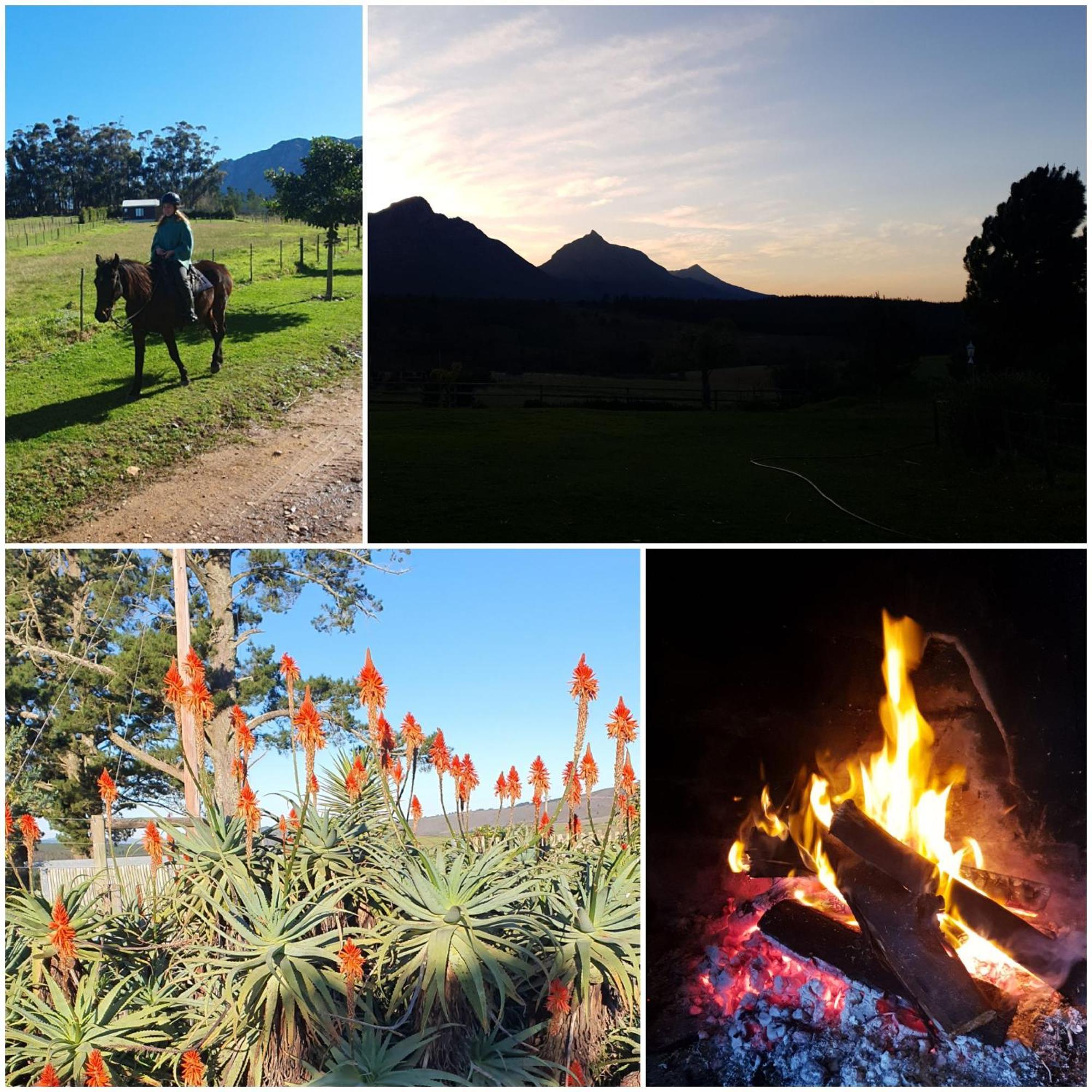 Alojamento de Turismo Rural Oudebosch Guest Farm Riversdale
