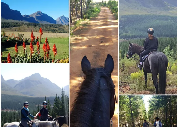 Oudebosch Guest Farm