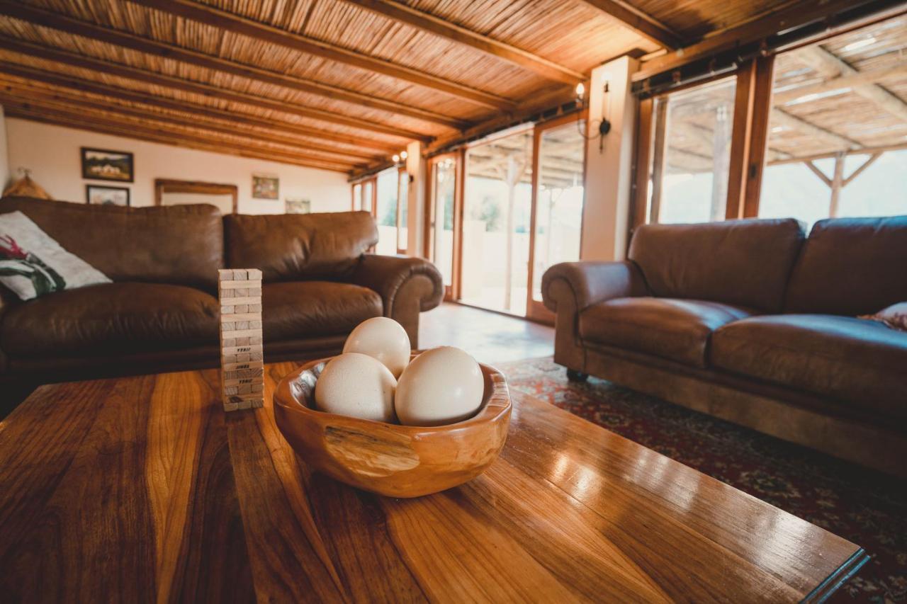 Farm stay Oudebosch Guest Farm *