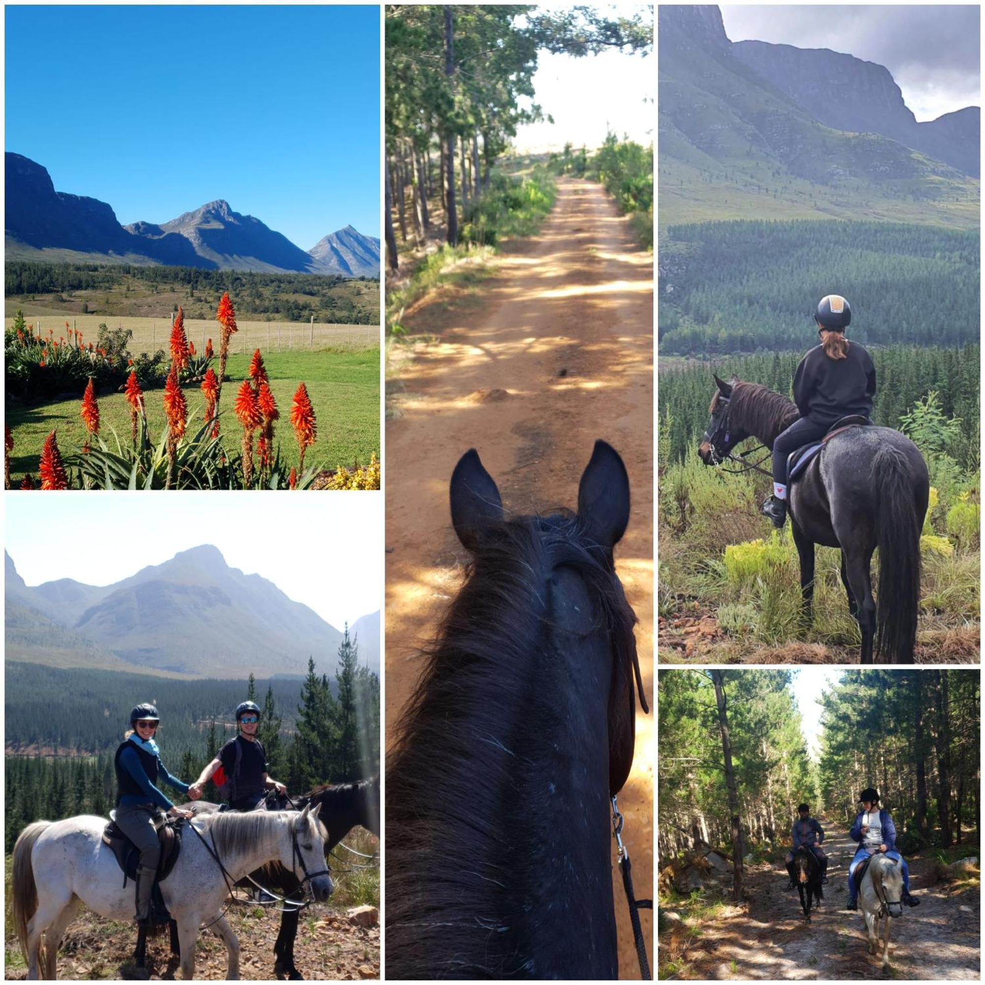 Oudebosch Guest Farm Riversdale